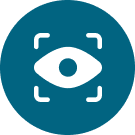 Vision Icon